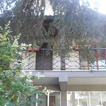 Etnarte