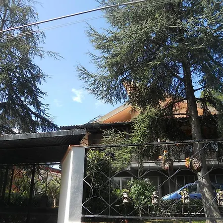 Etnarte Nicolosi