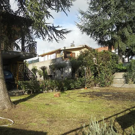 Etnarte