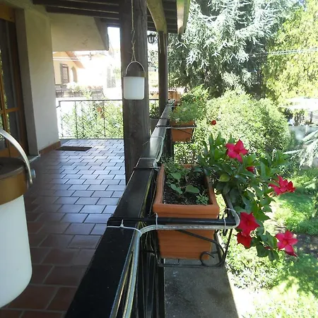 Etnarte