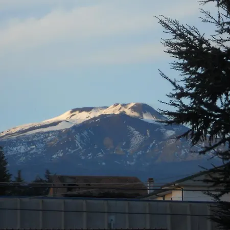 Etnarte *